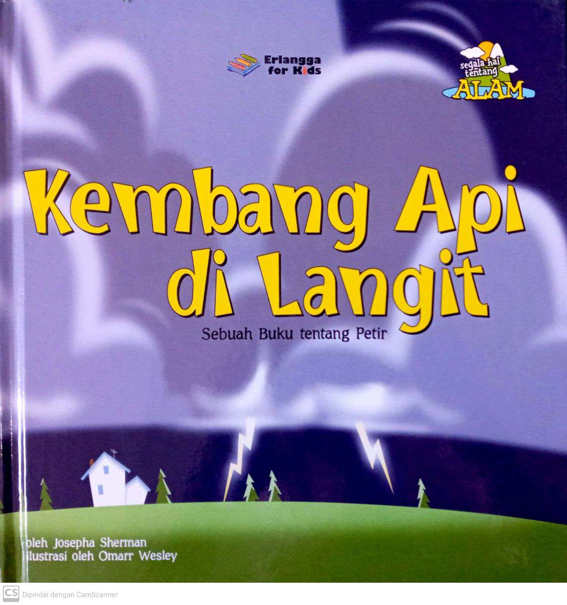 Kembang Api di Langit