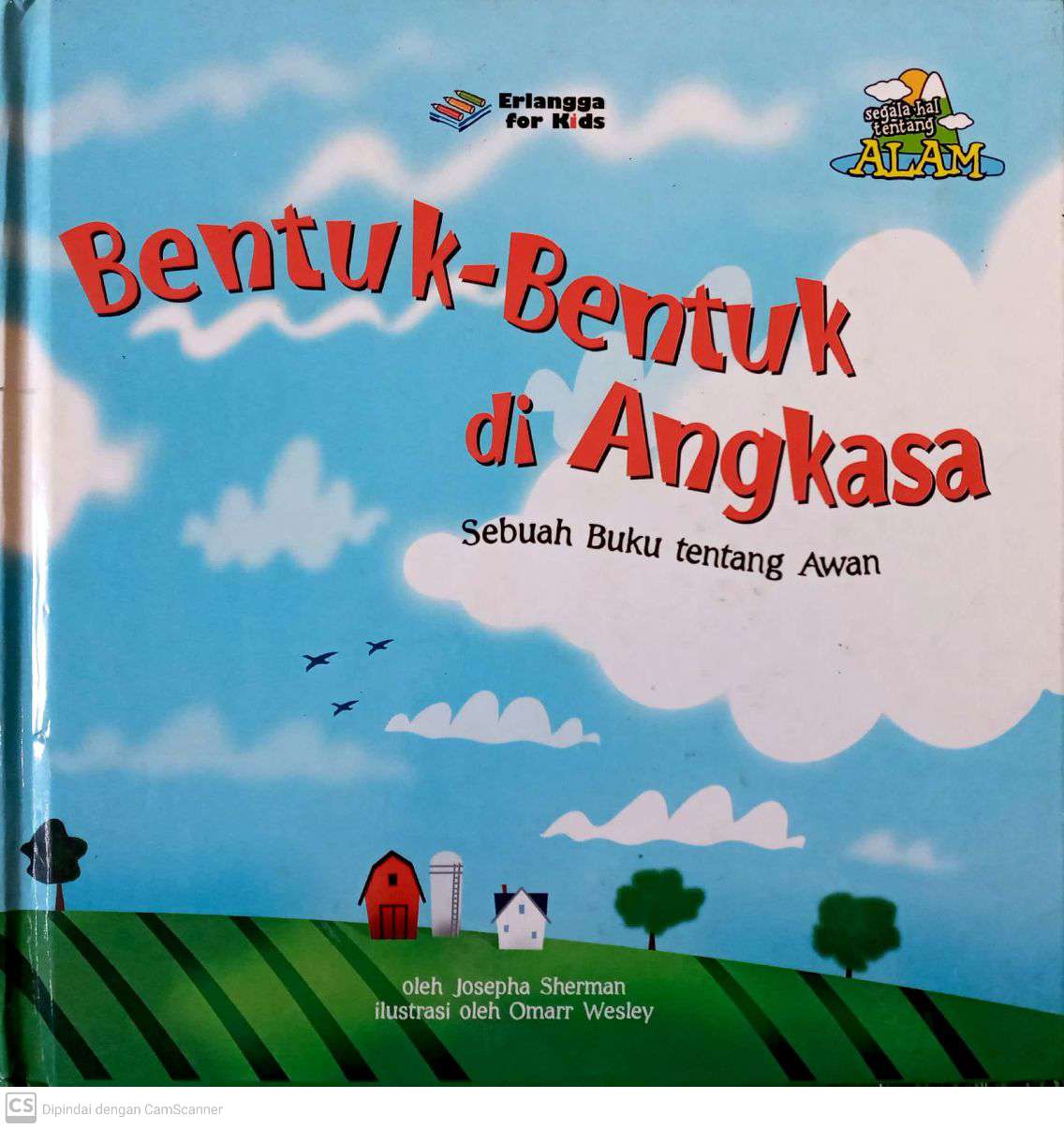 Bentuk-bentuk di Angkasa: Sebuah Buku tentang Awan