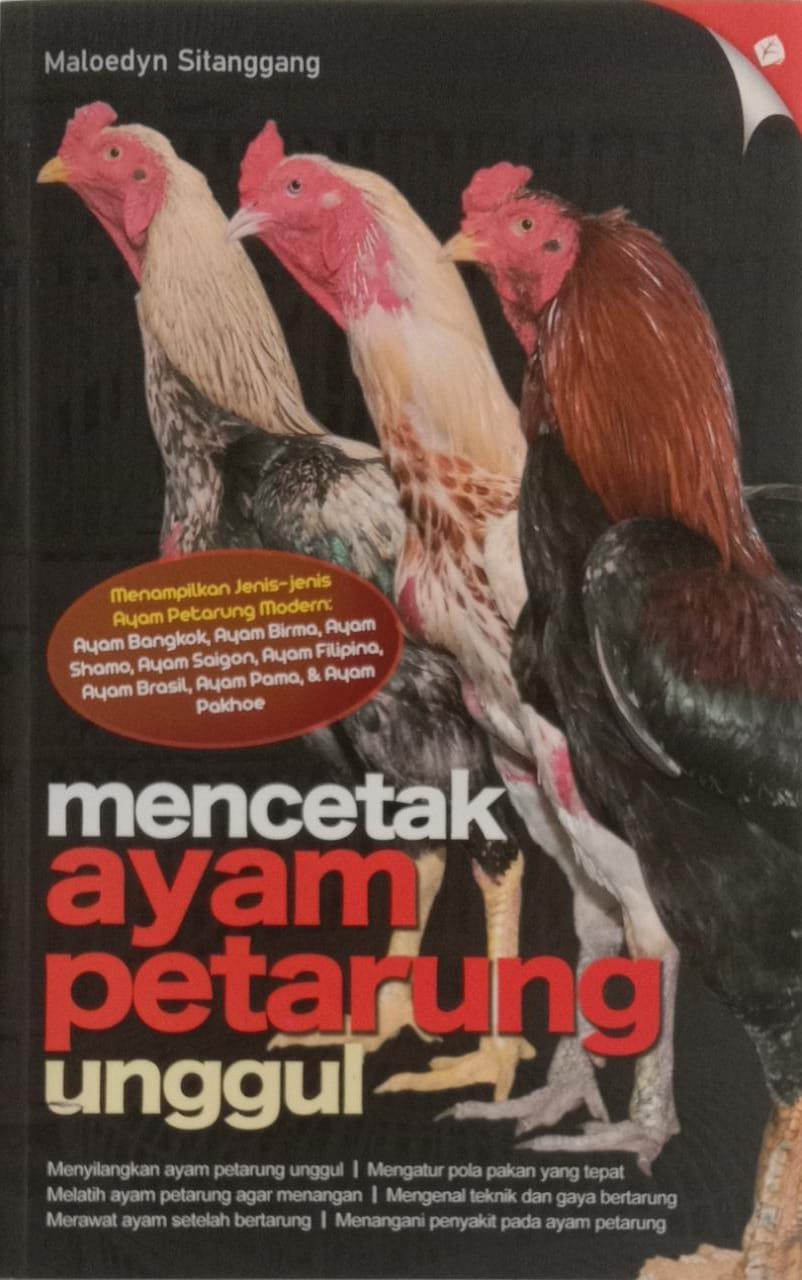 Mencetak Ayam Petarung Unggul