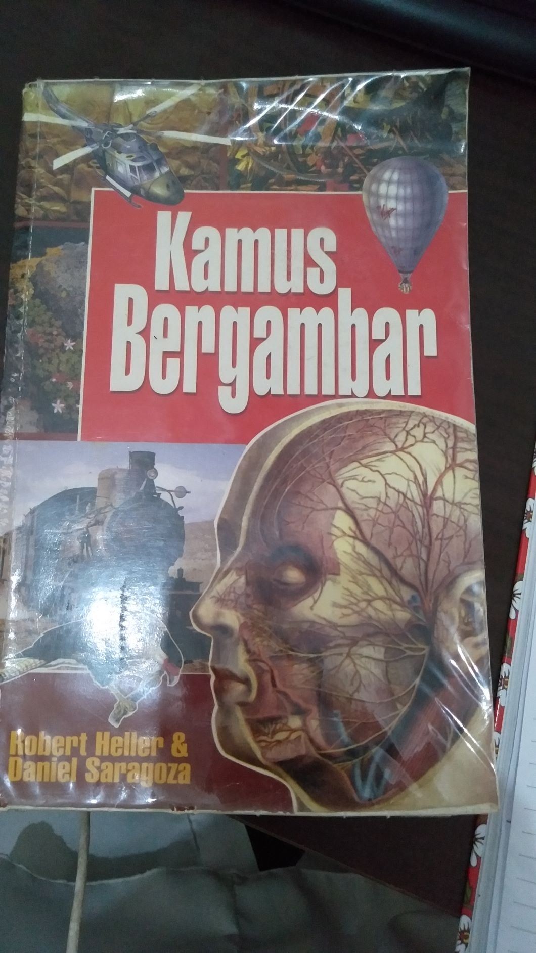 Kamus Bergambar