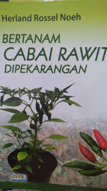 Bertanam Cabai Rawit Di Pekarangan