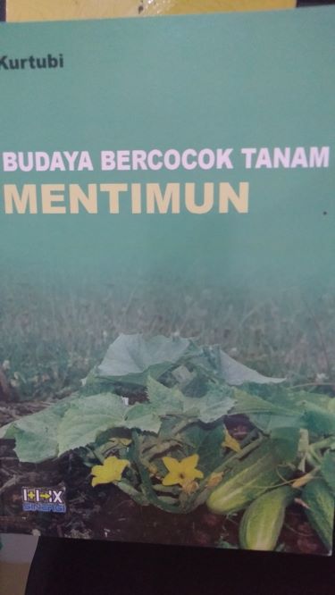 Budaya Bercocok Tanam Mentimun