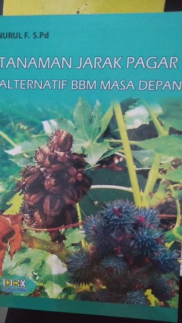 Tanaman Jarak Pagar Alternatif BBM Masa Depan