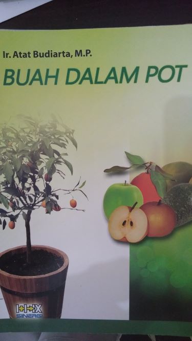 Buah Dalam Pot