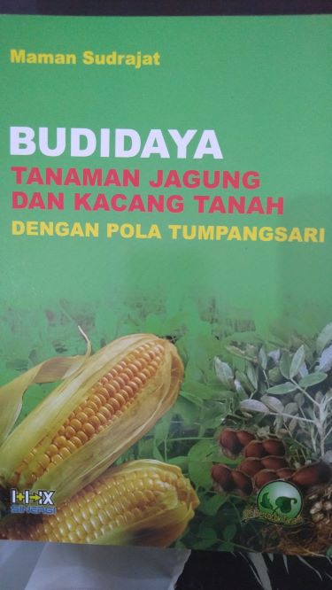 Budidaya Tanaman Jagung Dan Kacang Tanah Dengan Pola Tumpangsari