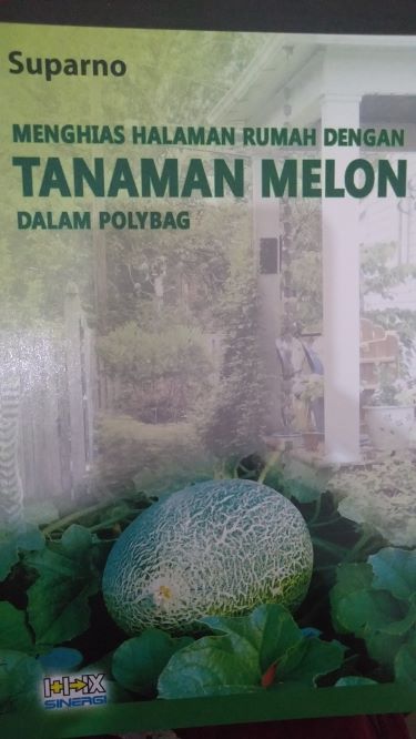 Menghias Halaman Rumah Dengan Tanaman Melon Dalam Polybag