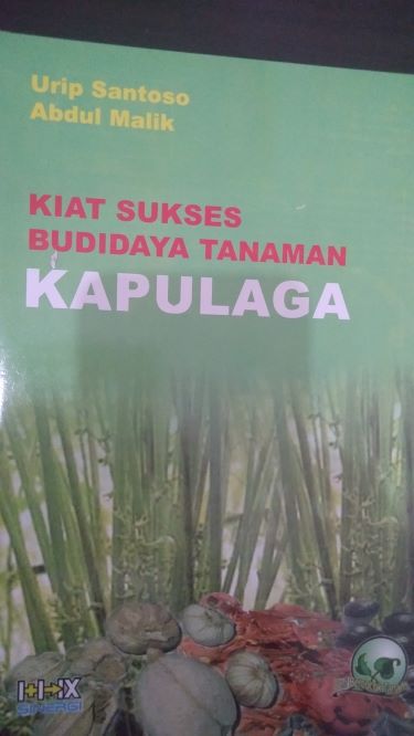 Kiat Sukses Budidaya Tanaman Kapulaga