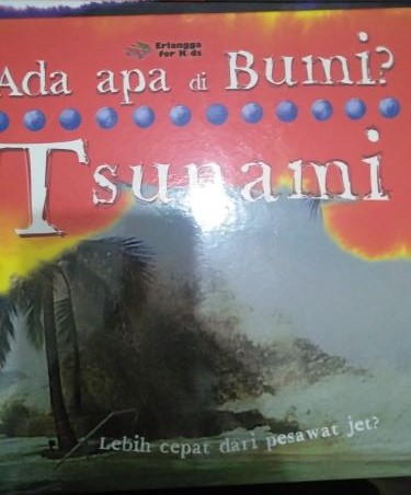 Ada Apa Di Bumi? Tsunami: Lebih Cepat dari Pesawat Jet?