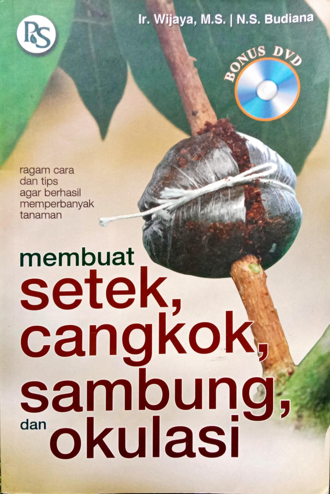 Membuat Setek, Cangkok, Sambung dan Okulasi