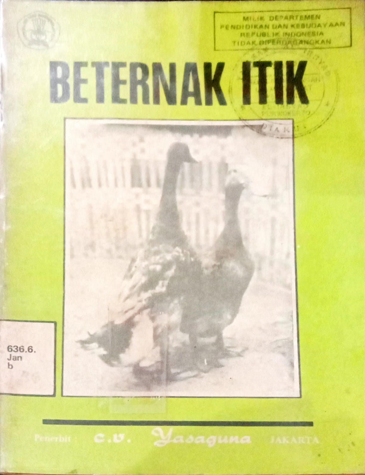 Beternak Itik