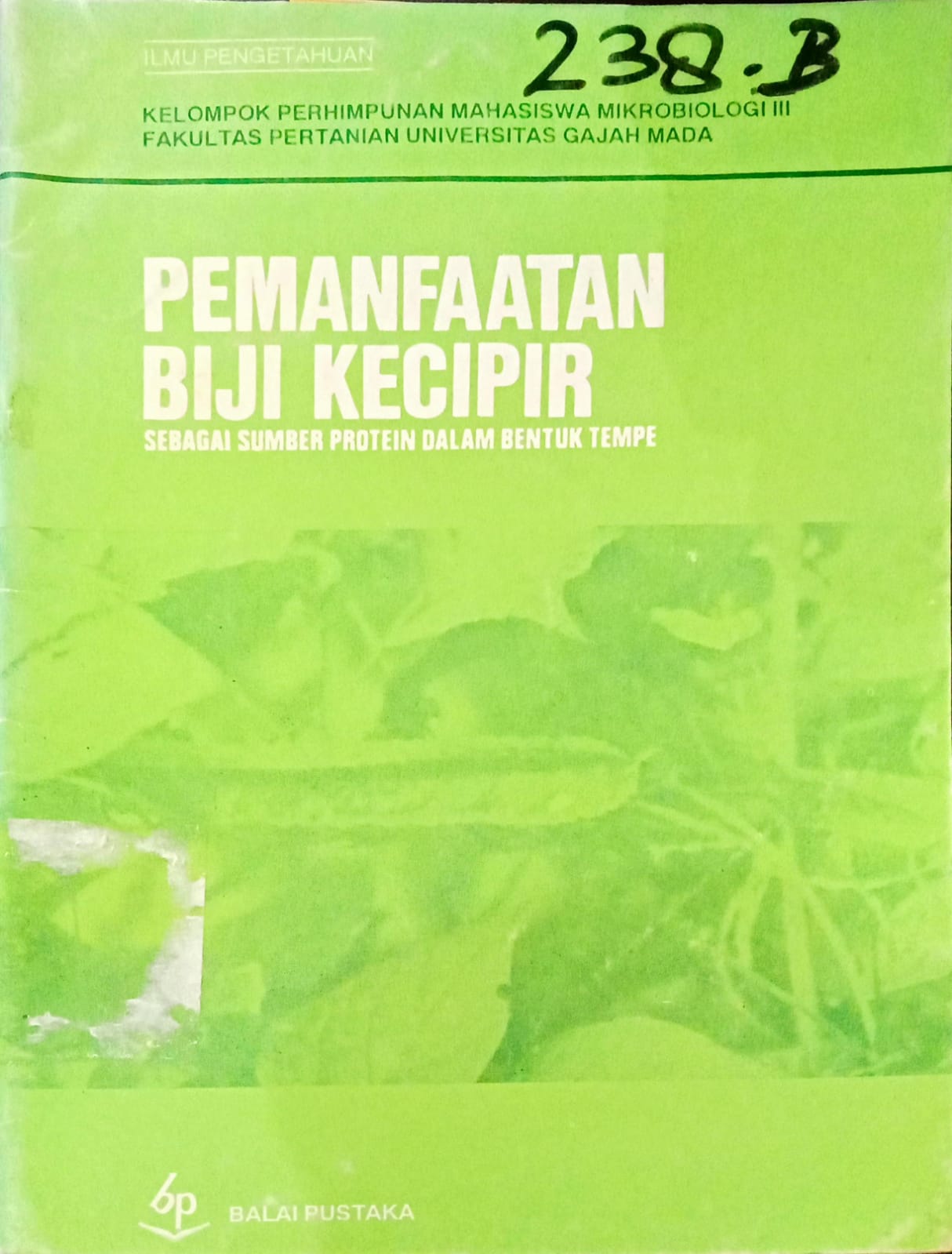 Pemanfataan Biji Kecipir : Sebagai Sumber Protein Dalam Bentuk Tempe