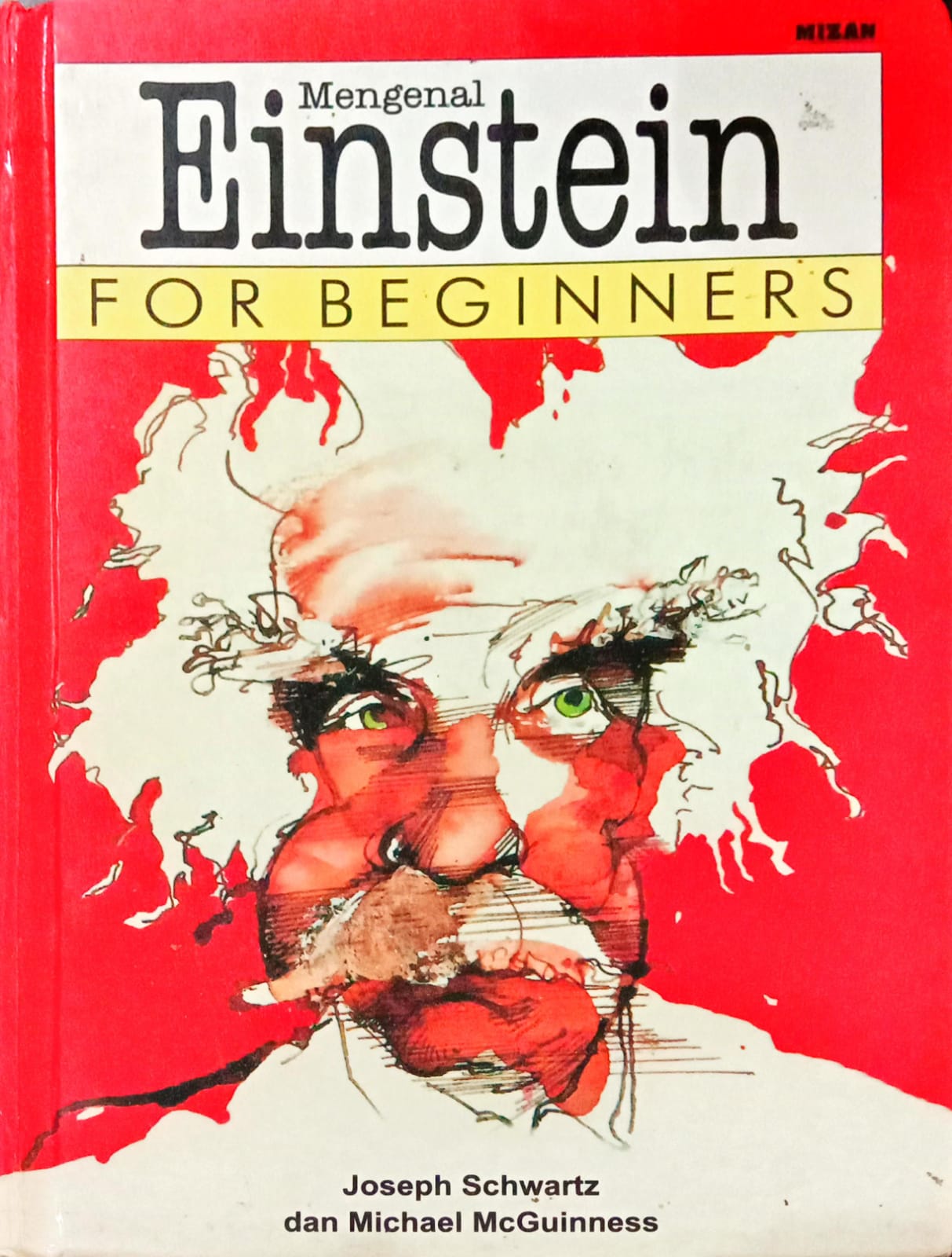 Mengenal Einstein For Beginners