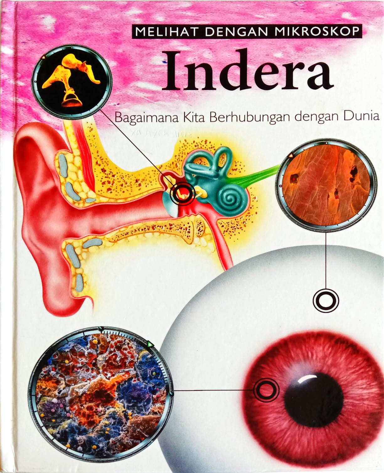 Melihat Dengan Mikroskop Indera : Bagaimana Kita Berhubungan dengan Dunia 6