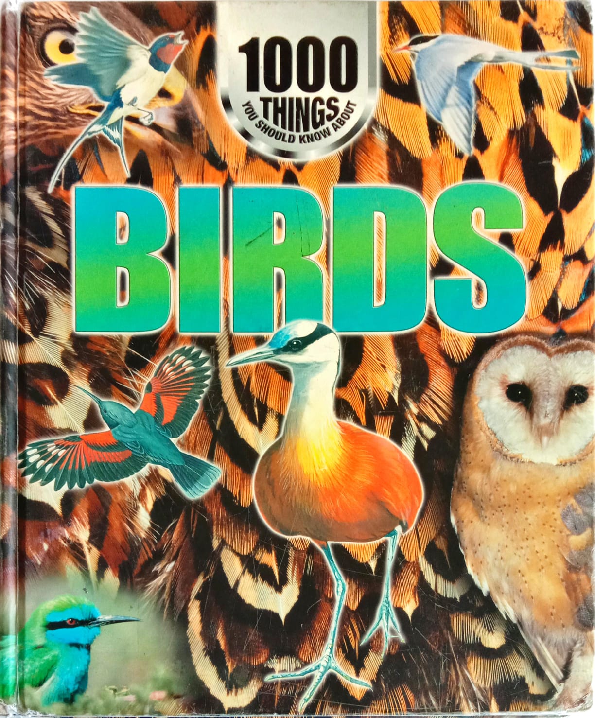 1000Things You Should Know About: BIRDS