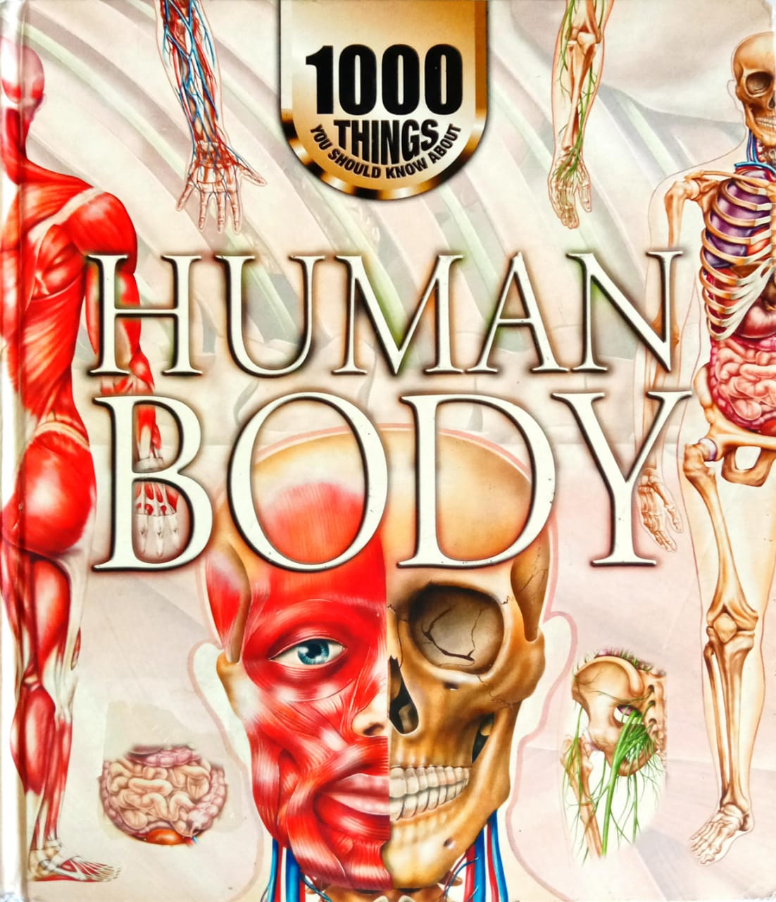 1000 Things You Should Know About: HUMAN BODY