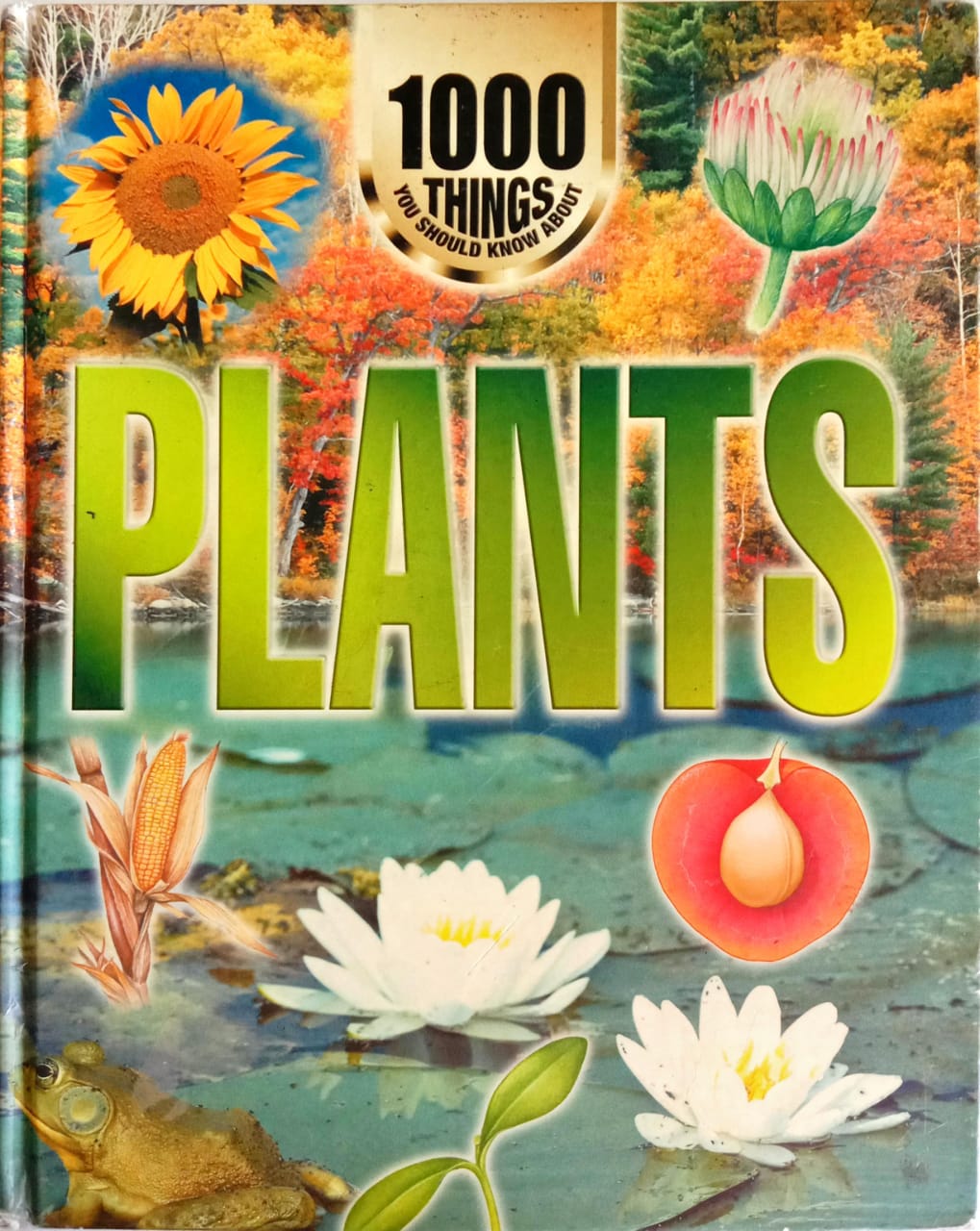 1000 Things You Should Know About: PLANTS