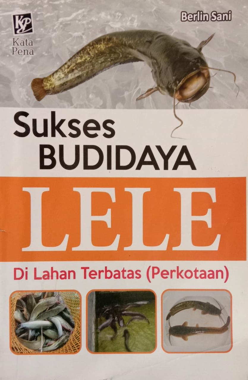 Sukses Budidaya Lele di Lahan Terbatas (Perkotaan)