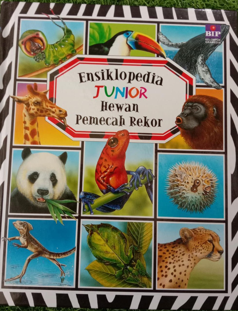 Ensiklopedia Junior : Hewan Pemecah Rekor