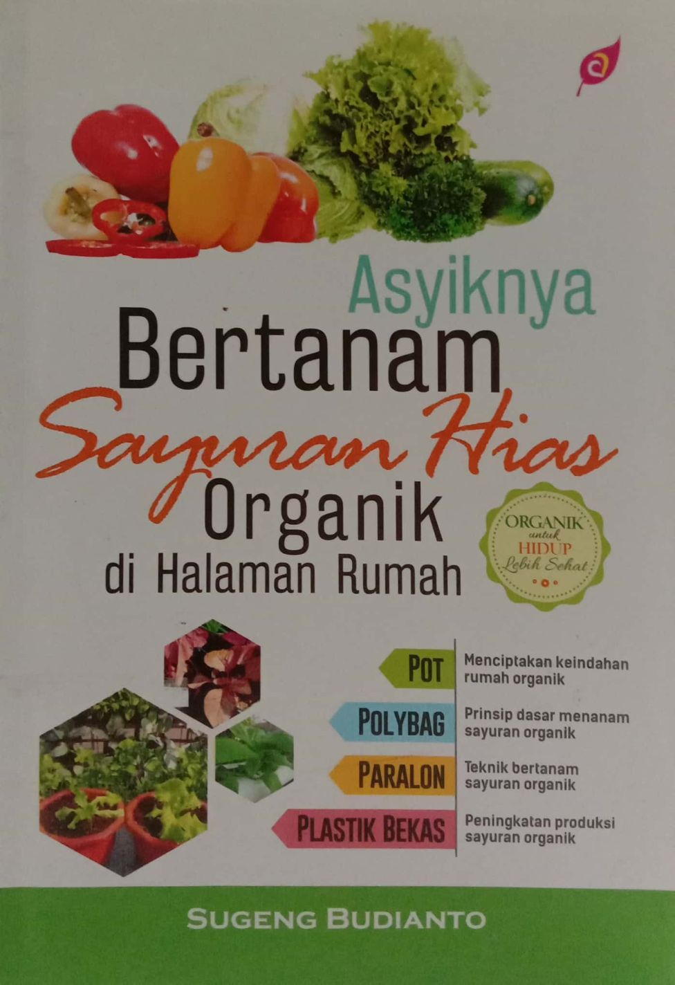 Asyiknya Bertanam Sayuran Hias Organik di Halaman Rumah