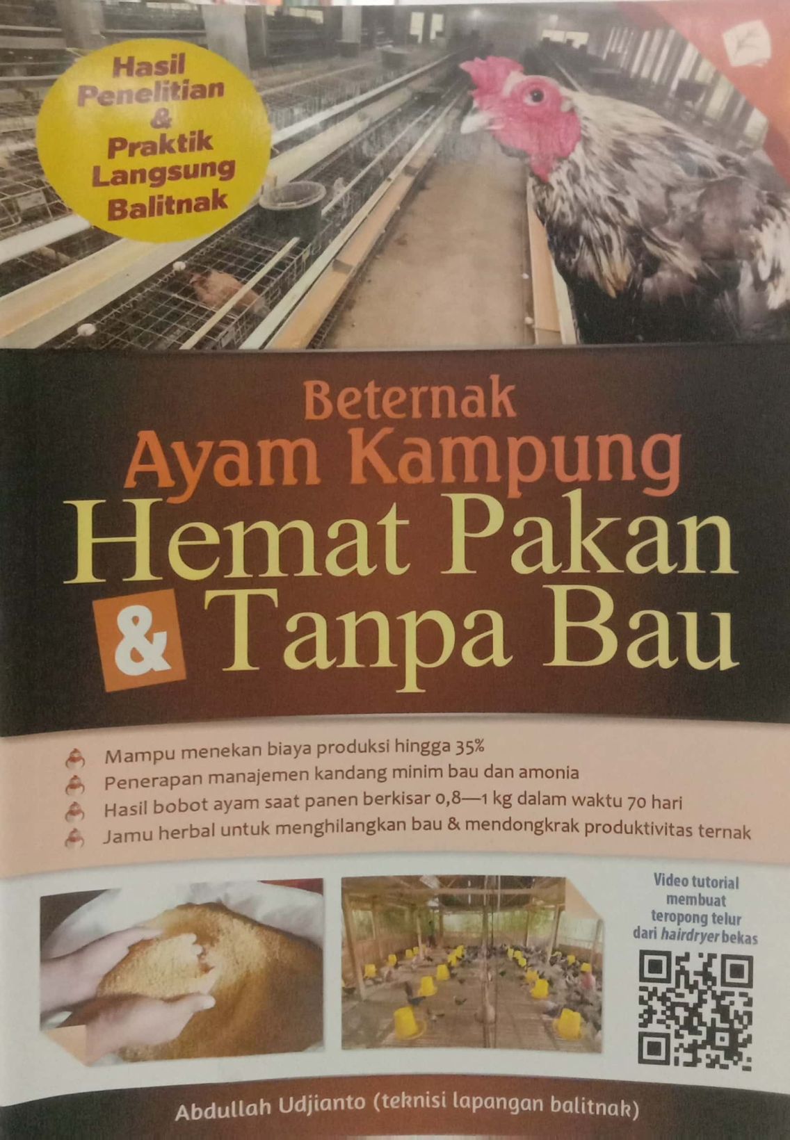 Berternak Ayam Kampung Hemat Pakan dan Tanpa Bau