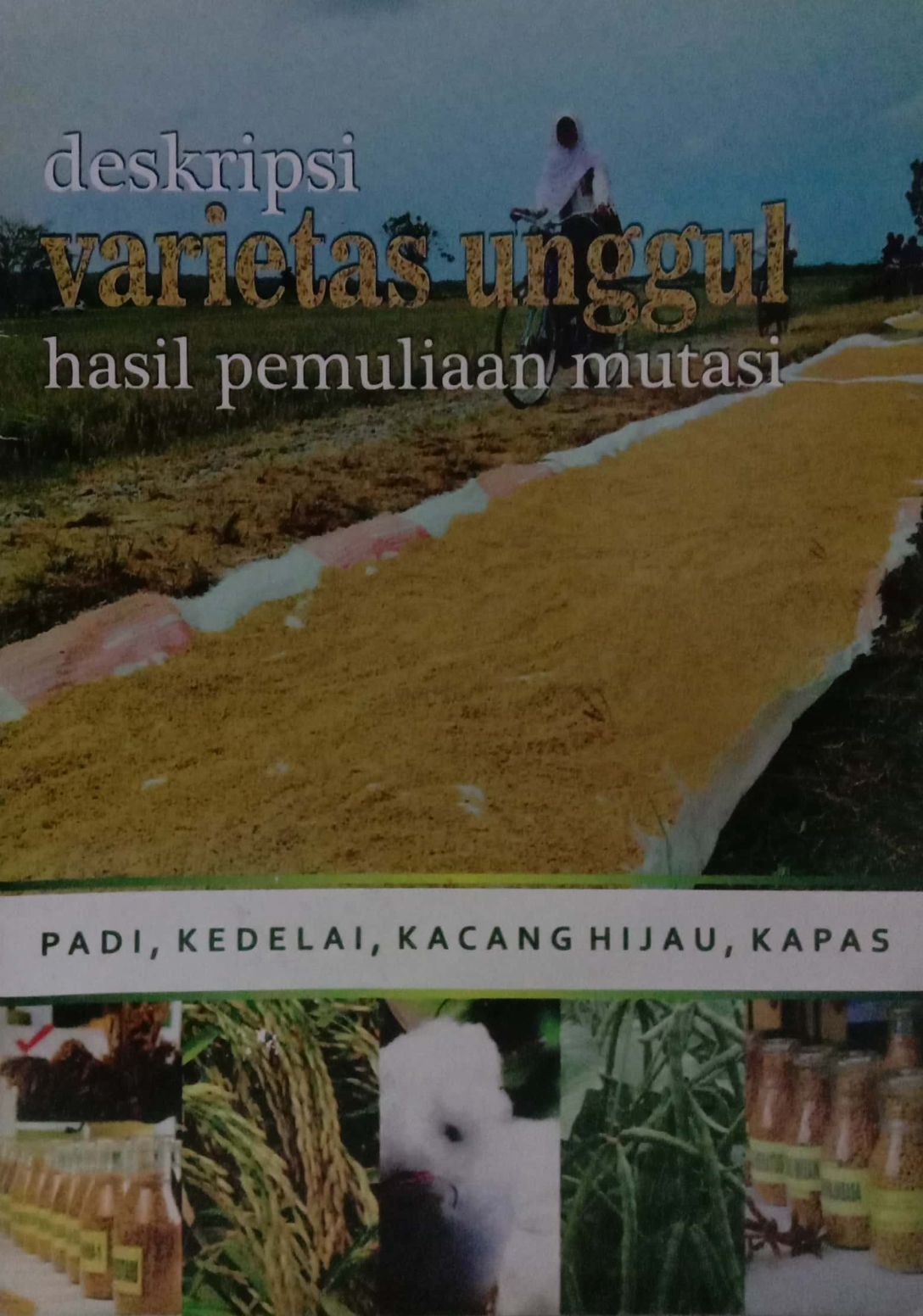 Dekripsi Varietas Unggul Hasil Pemuliaan Mutasi