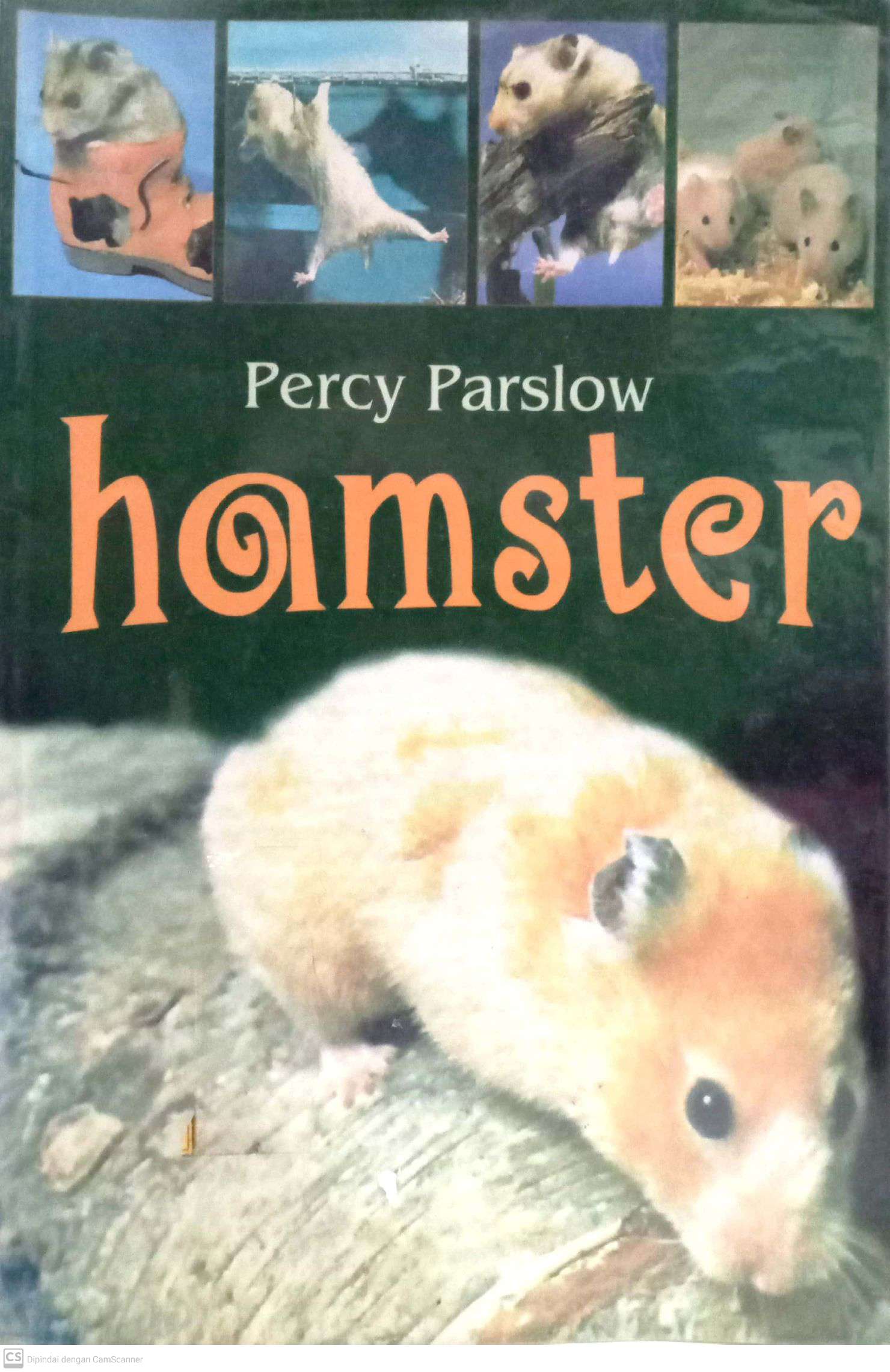 Hamster