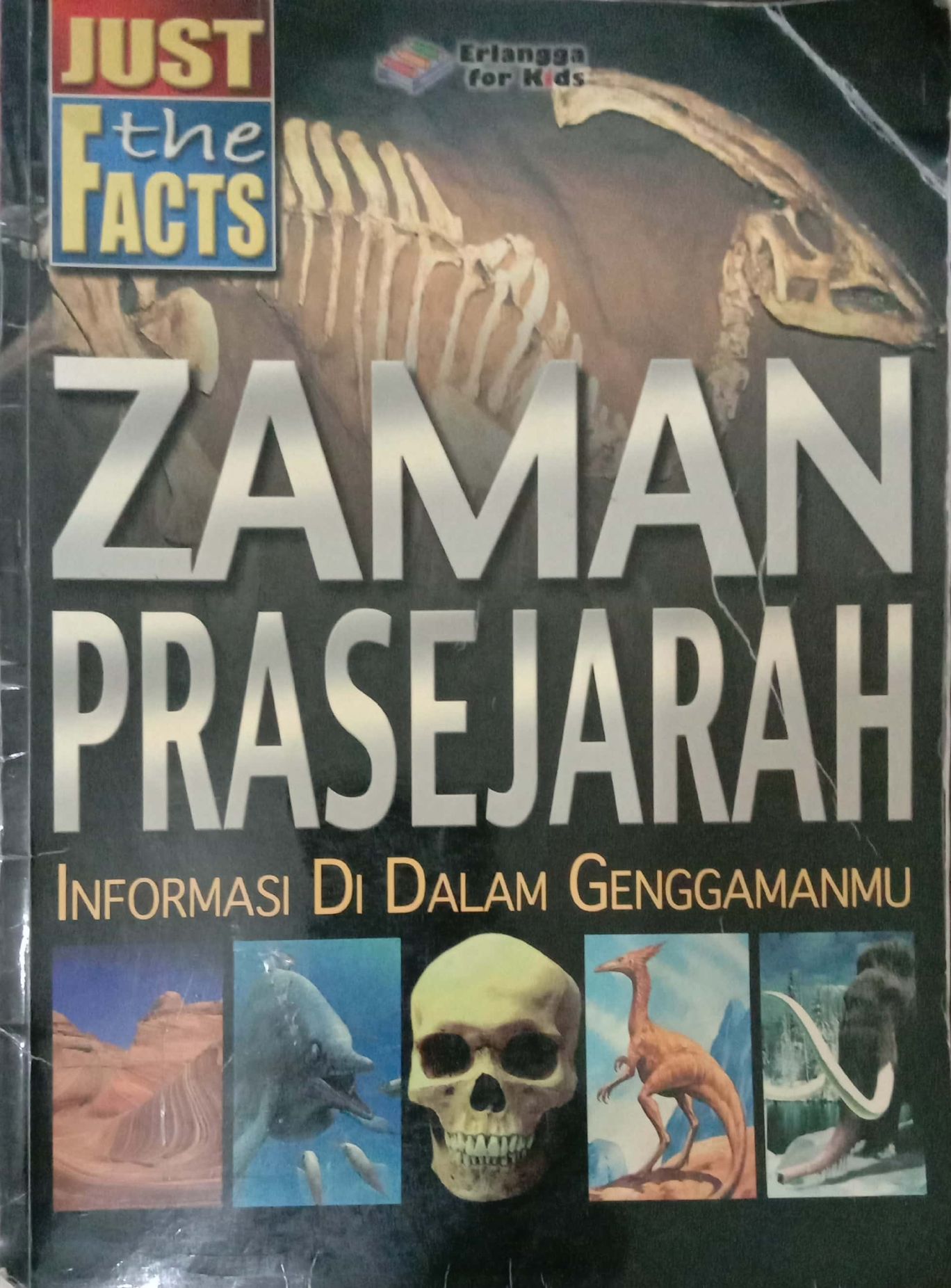 Just The Fact: Zaman Pra Sejarah, Informasi di Dalam Genggaman mu