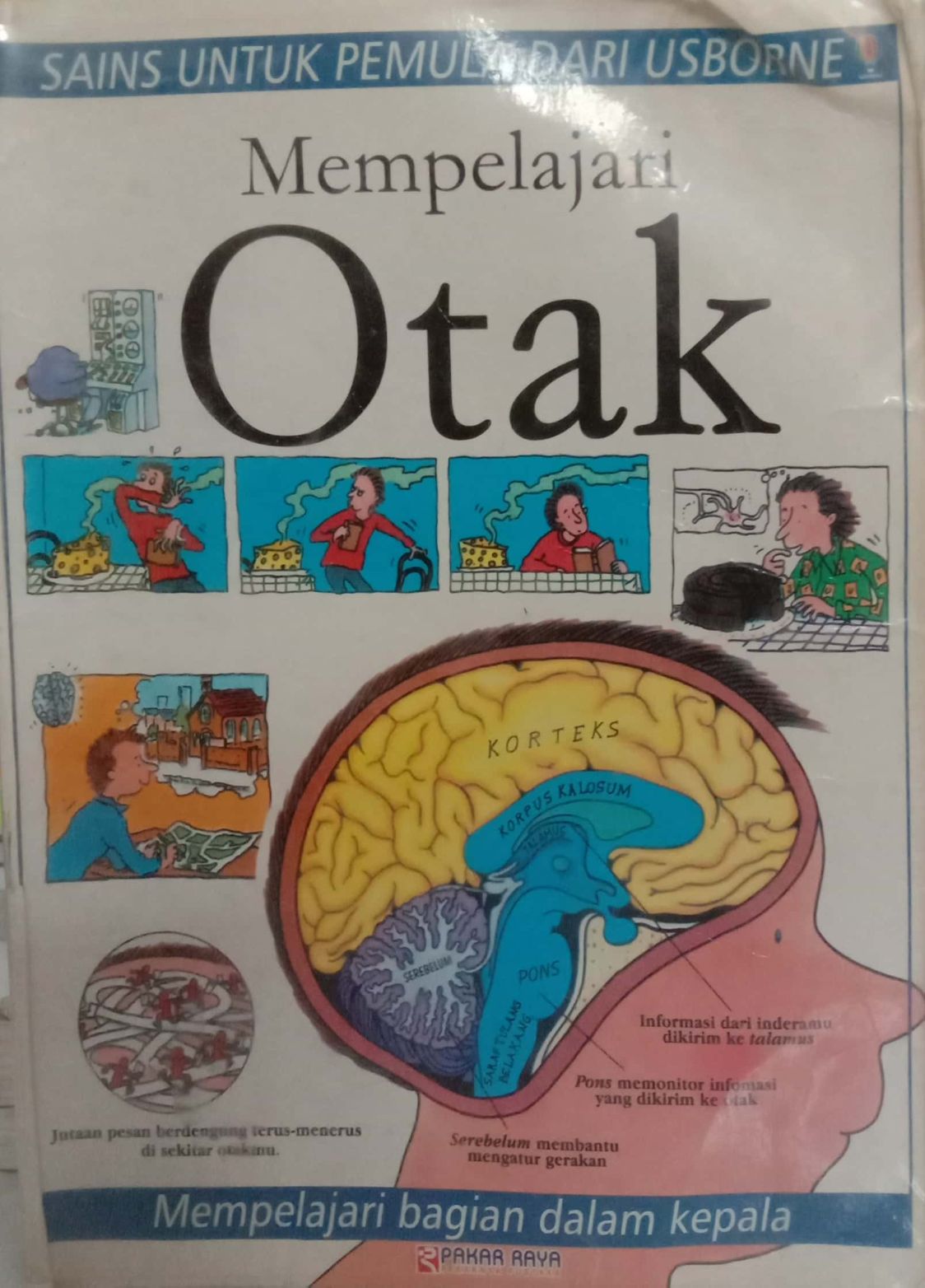 Mempelajari Otak