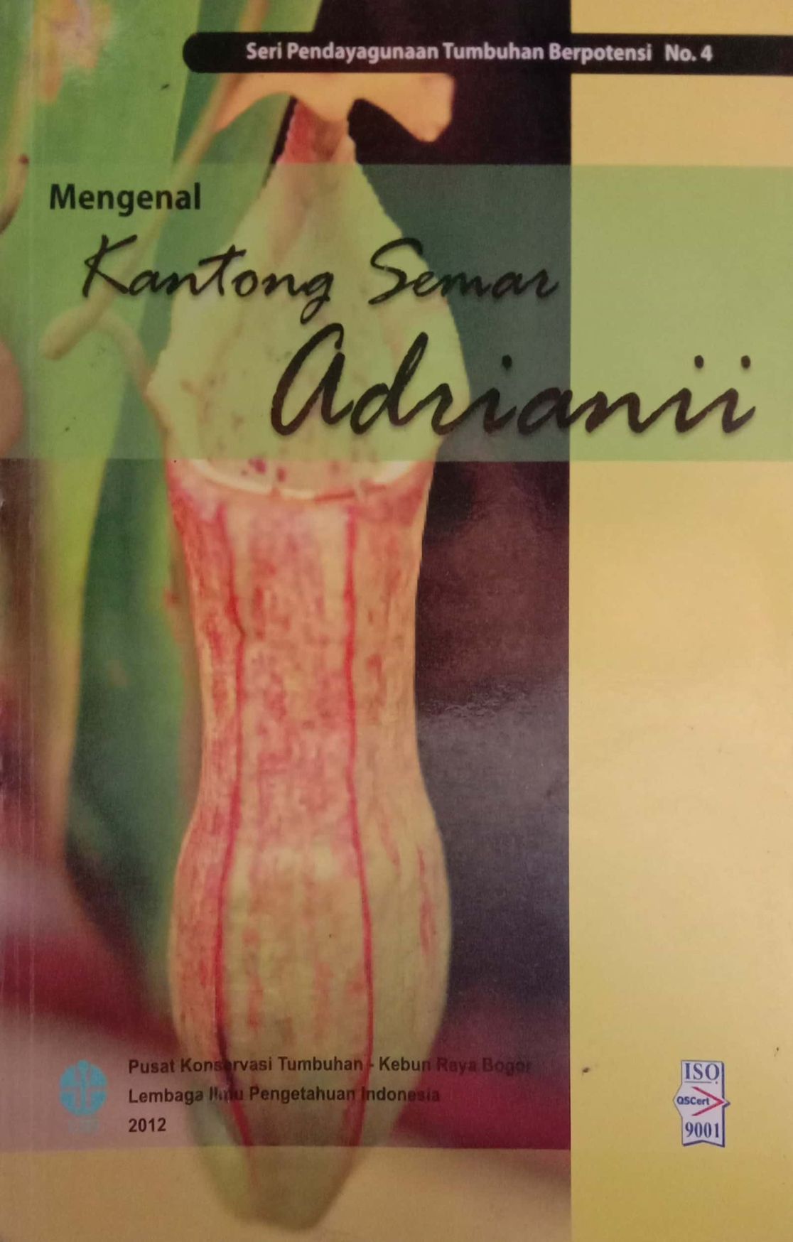 Mengenal Kantong Semar Adrianii