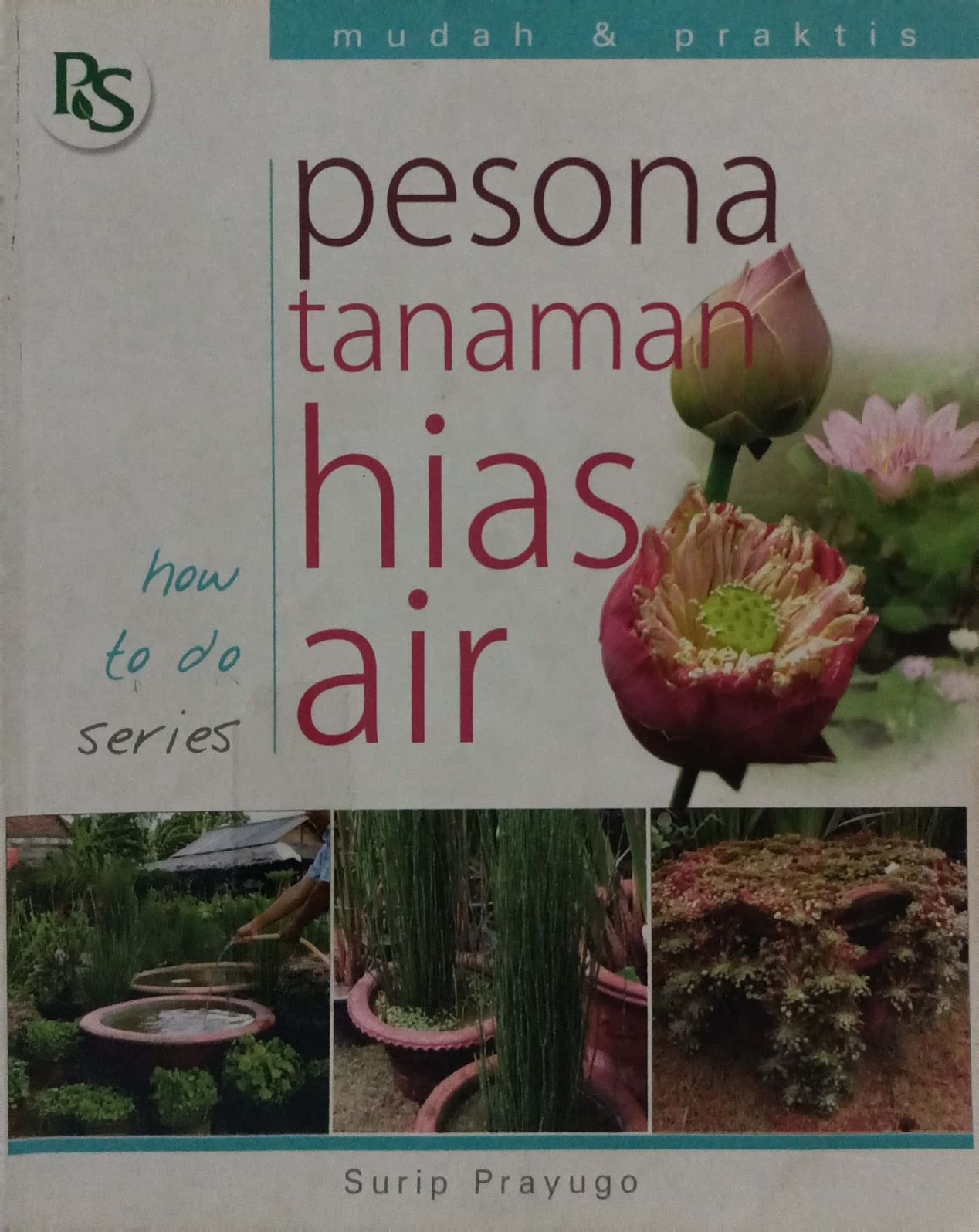 Pesona Tanaman Hias Air