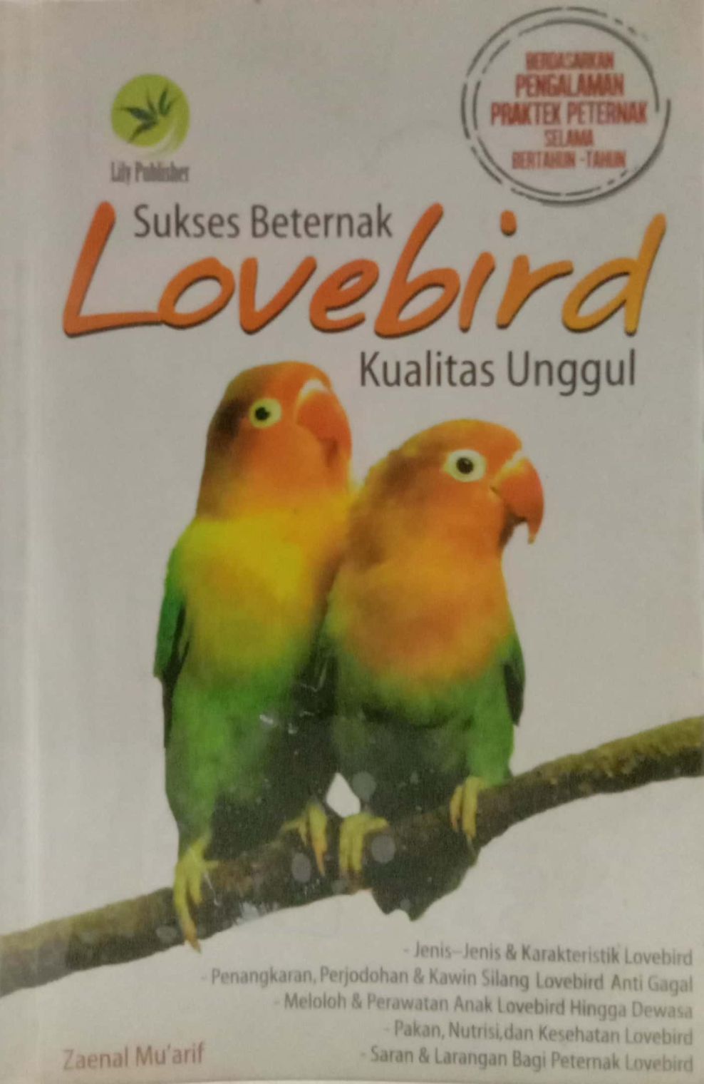 Sukses Berternak Lovebird: Kualitas Unggul