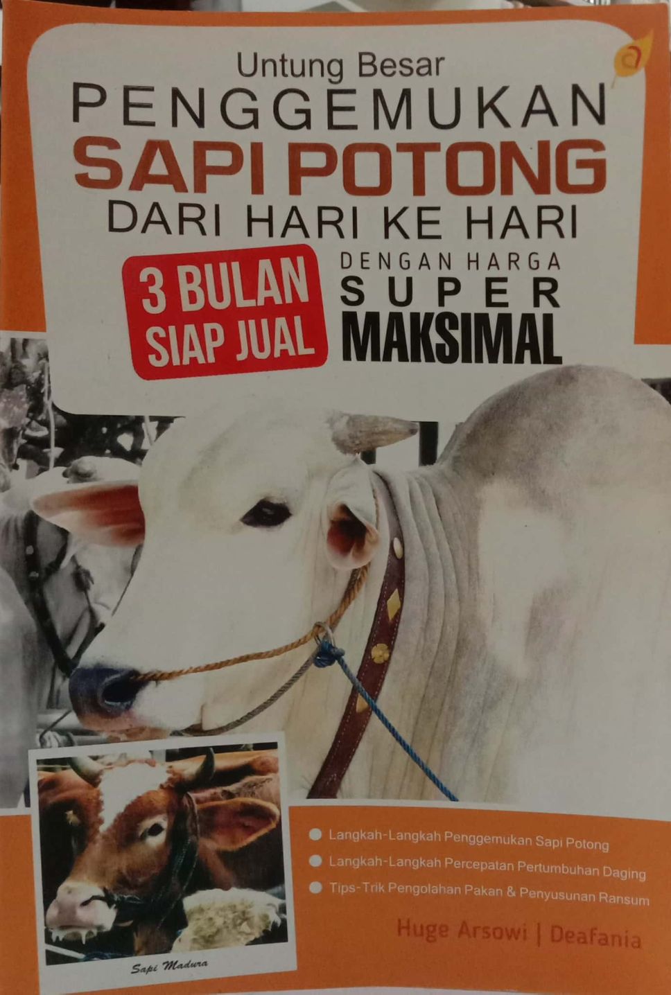 Untung Besar Penggemukan Sapi Potong dari Hari ke Hari 3 Bulan Siap Jual: Dengan Harga Super Maksimal